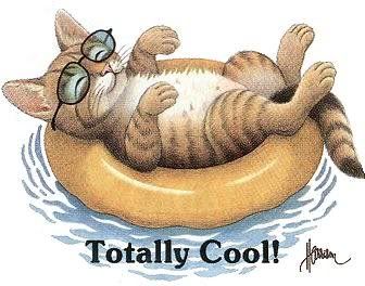 coolcat.jpg