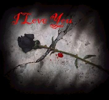 Black Rose Love