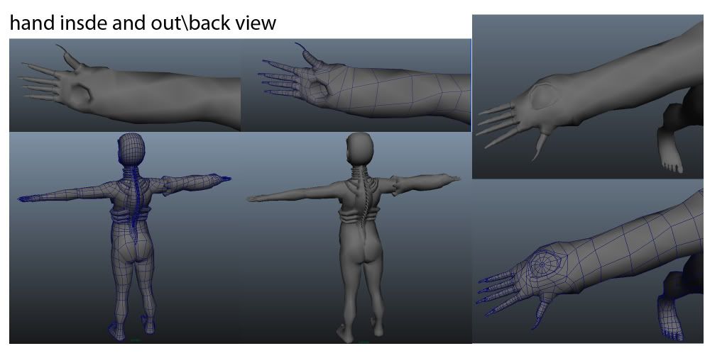 CHAMELIBASENWIREBACKHAND.jpg