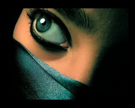 Eye Photo Picture