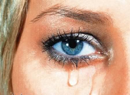 Eye Photo Picture