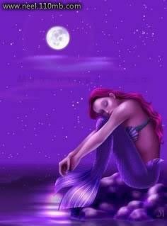 Mermaid Photo Picture
