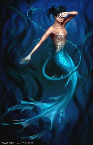 Mermaid Photo Picture
