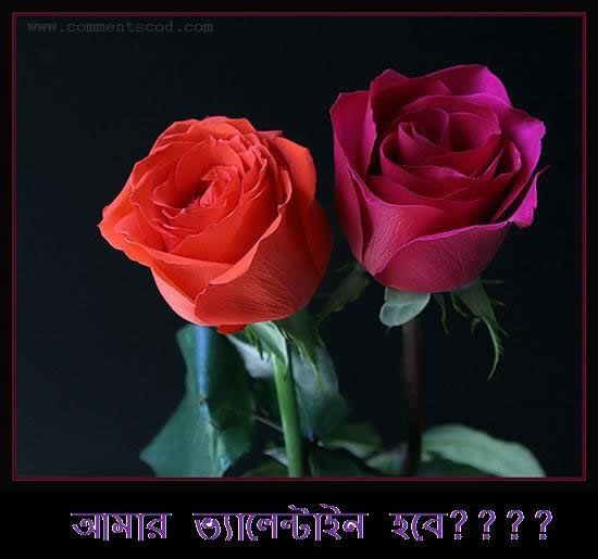 Valobasa Dibos Photo Picture