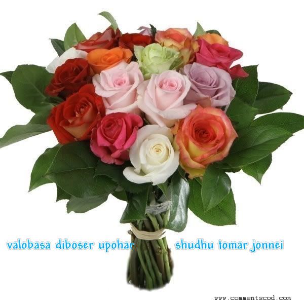 Valobasa Dibos Photo Picture