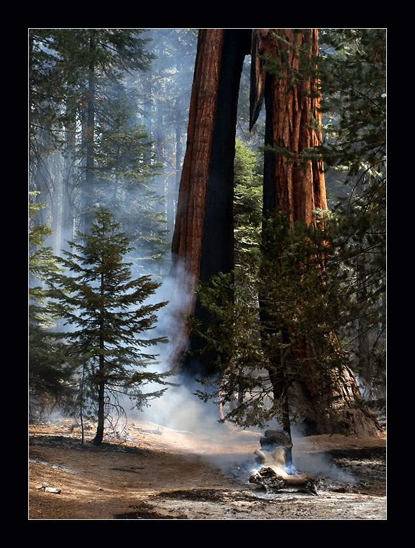 California (c) sarge0946 accidentes automovilistico ayer california