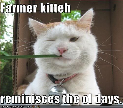 funny-pictures-farmer-cat-thinks-back-on-the-old-days.jpg