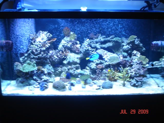 DSC00792.jpg