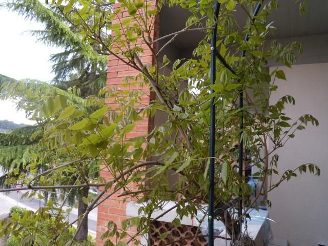DSCN0724.jpg
