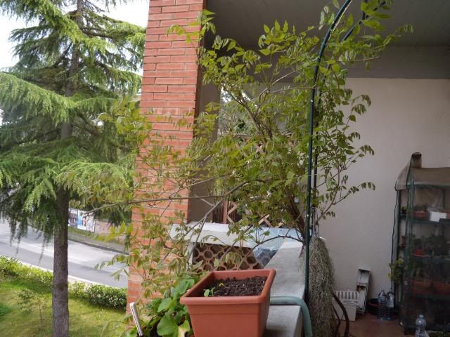 DSCN0726.jpg