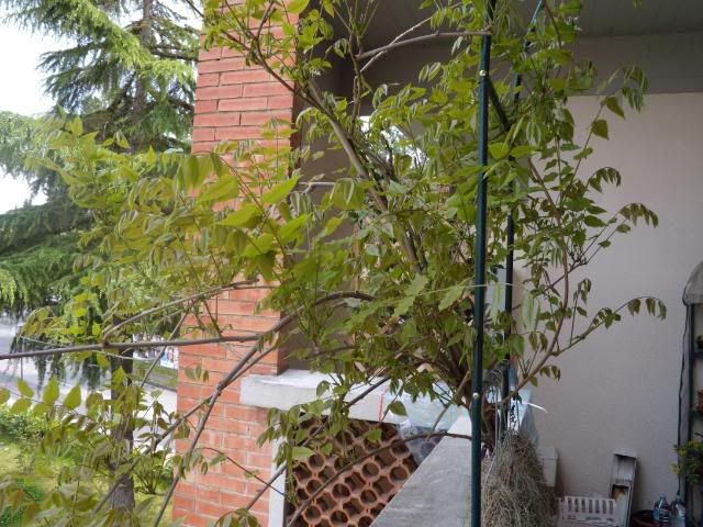 DSCN0727.jpg