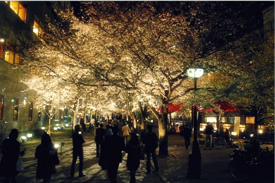 ＂「夜晚的邂逅」＂