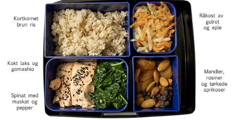 Bento2.jpg?t=1271967584