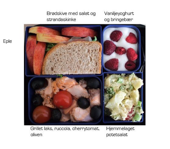 Bento24T.jpg