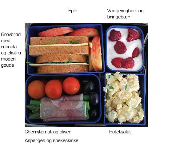 Bento25T.jpg