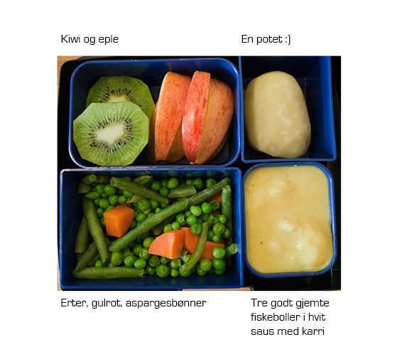 bento16T.jpg?t=1273689747