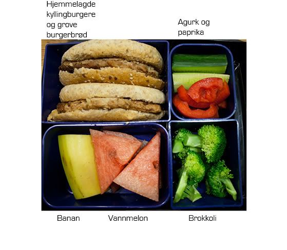 bento8T.jpg?t=1272836511