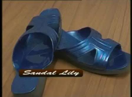 Sandal Lily