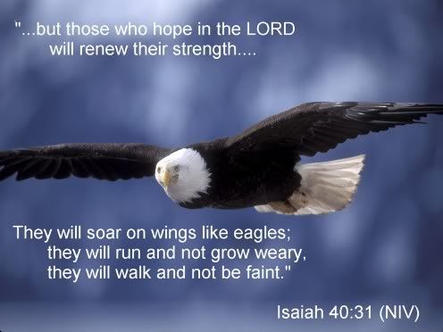 RAMBO-911_MINISTRY@hotmail.com,RAMBO-911,RAMBO-911 MINISTRY,http://www.AngelsHaven4911.50megs.com