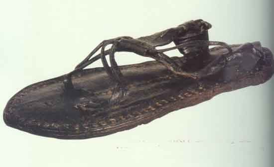 Image1-1.jpg