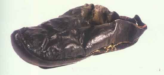 Image3-1.jpg