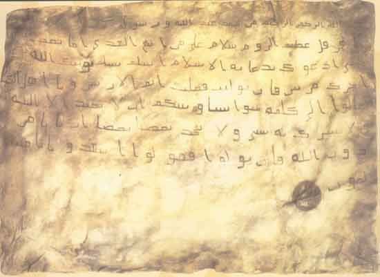 Image5.jpg