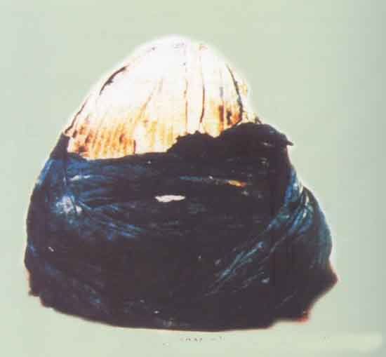 Image8.jpg