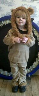 lion.jpg?t=1300312407